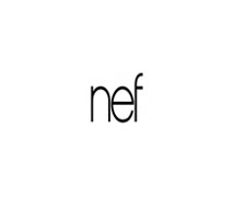 timur-nef